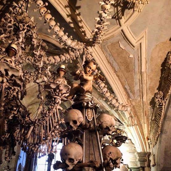 いろんな城が見たい