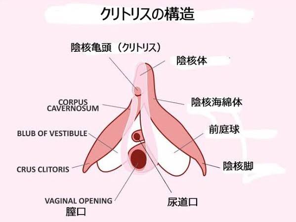 【アダルト】セックスが気持ちよくない
