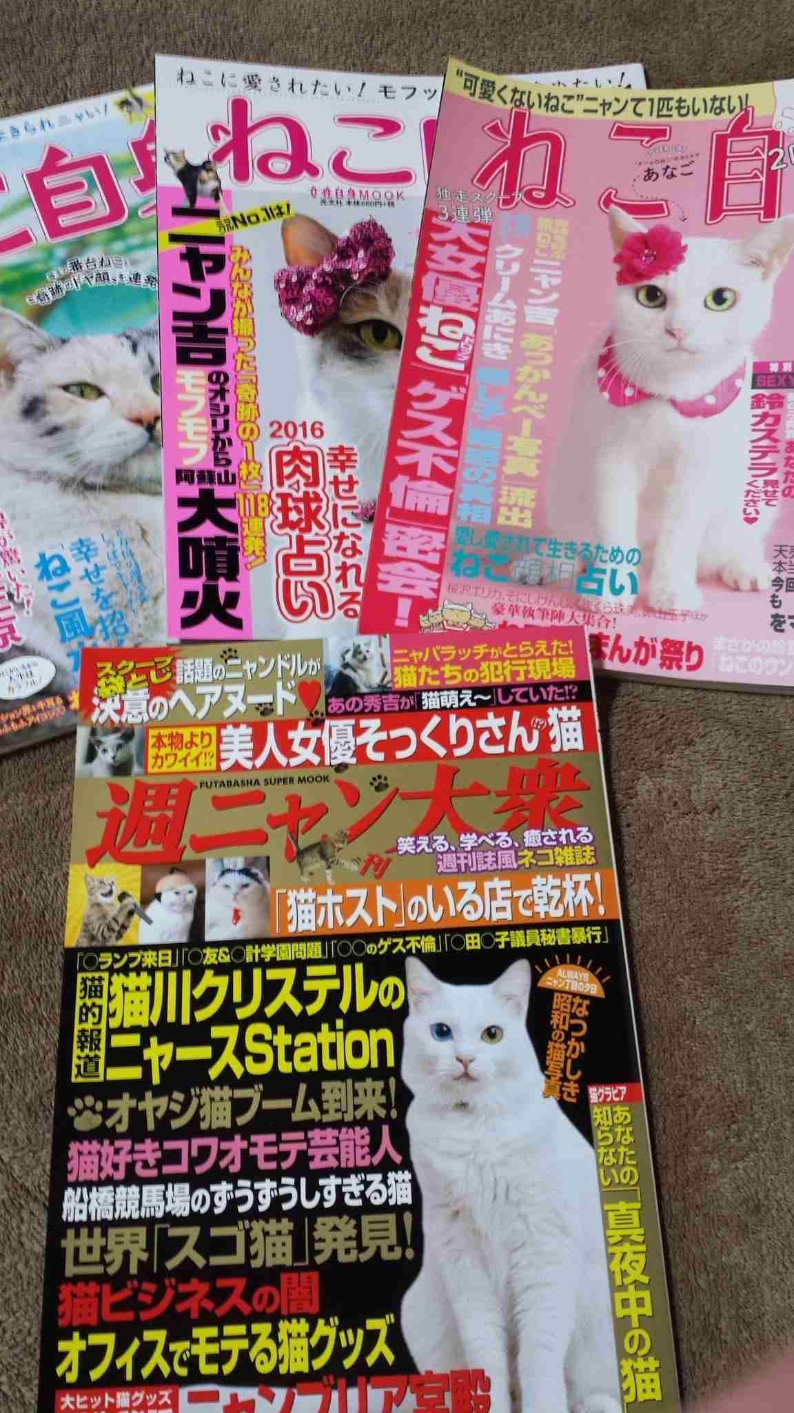 ムック本を語る