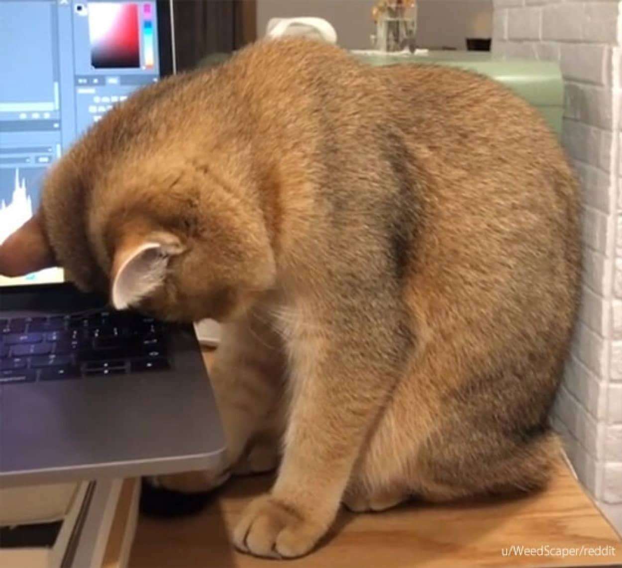 どうしようもなく落ち込んだとき、みんなはどうやって対処している？～落ち込んだ時の対処法