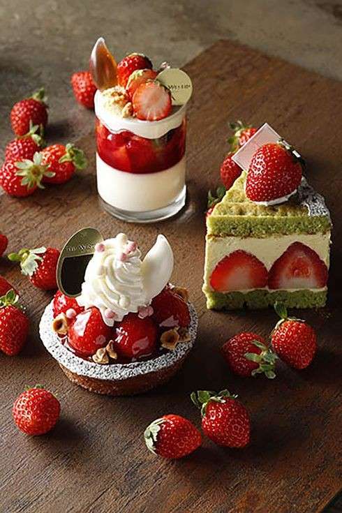 これ見ると、わくわくする！