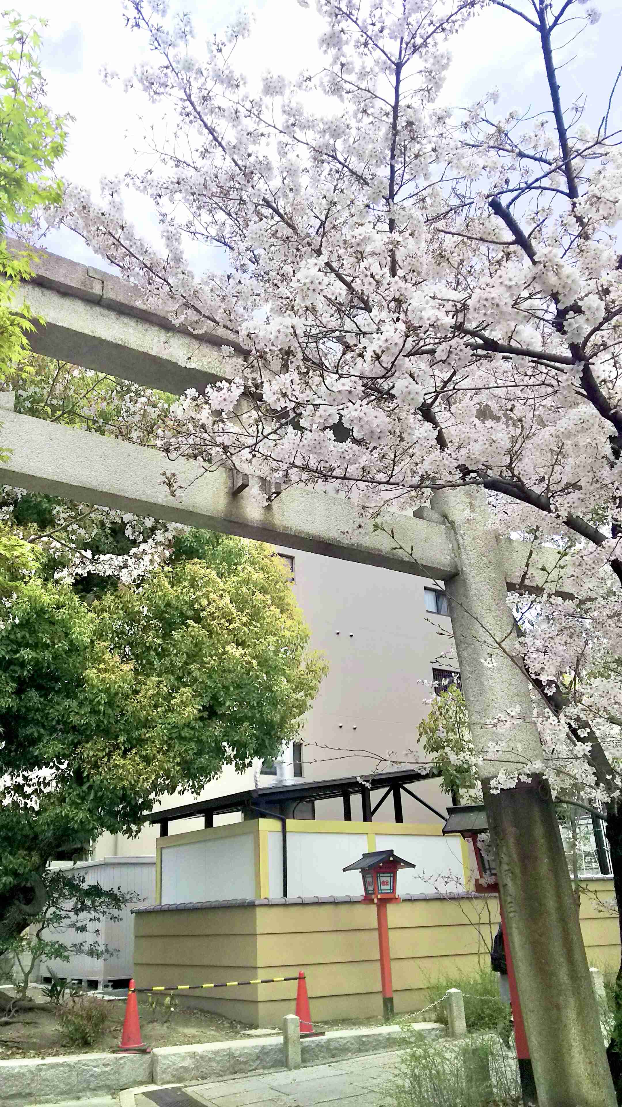 縁切り神社、効果ありました?