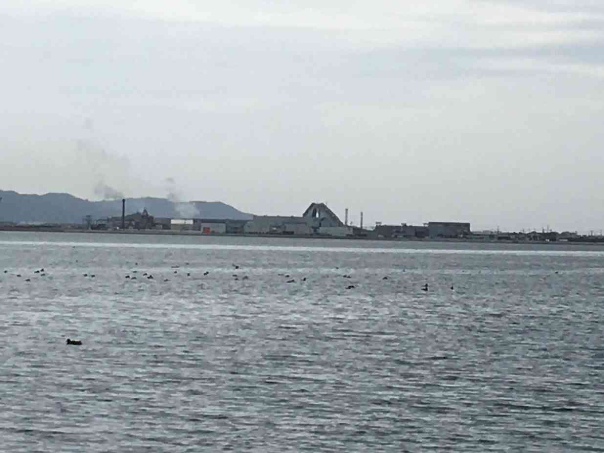 海沿いの写真でどこの県か当てるトピ