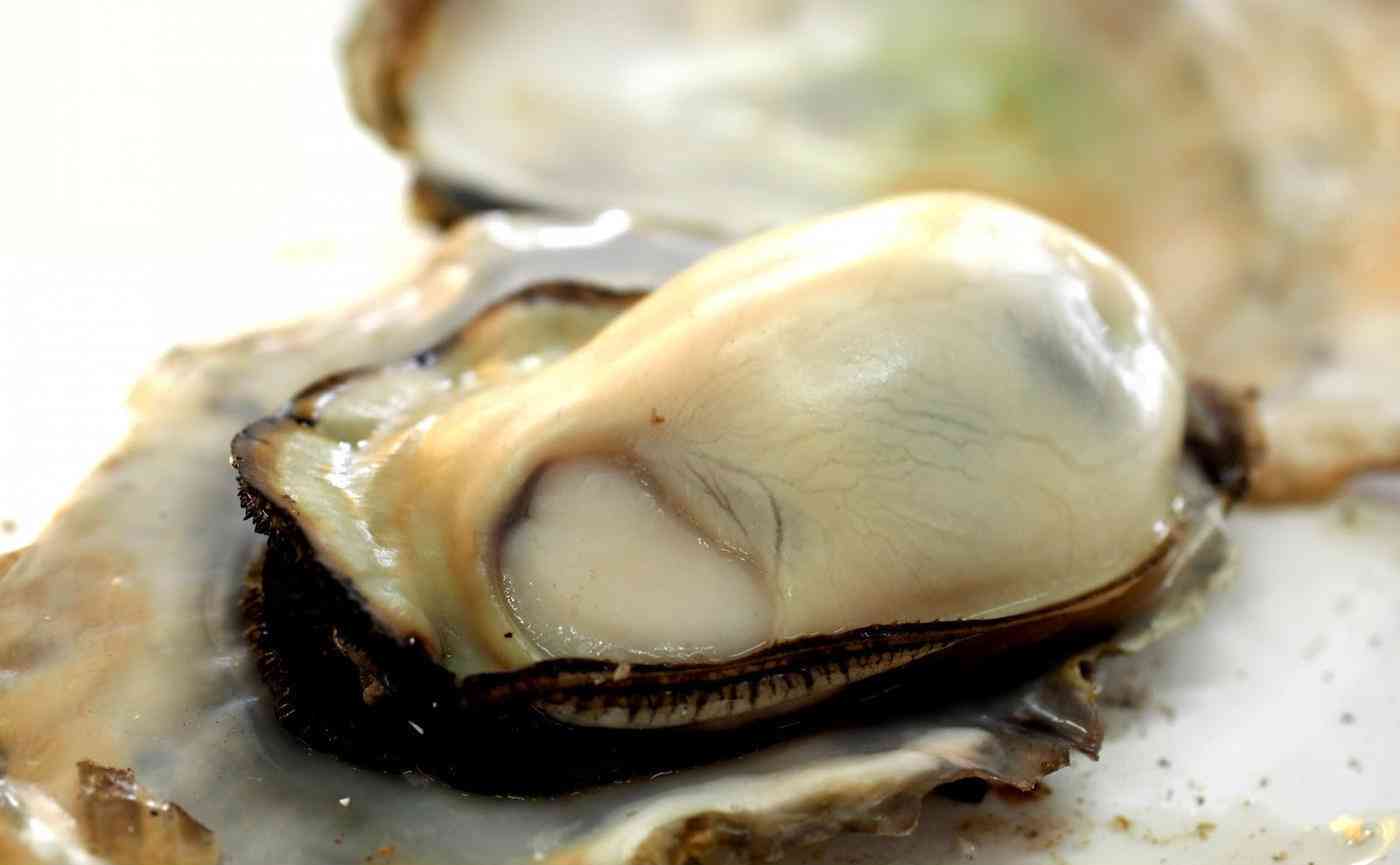 海沿いの写真でどこの県か当てるトピ