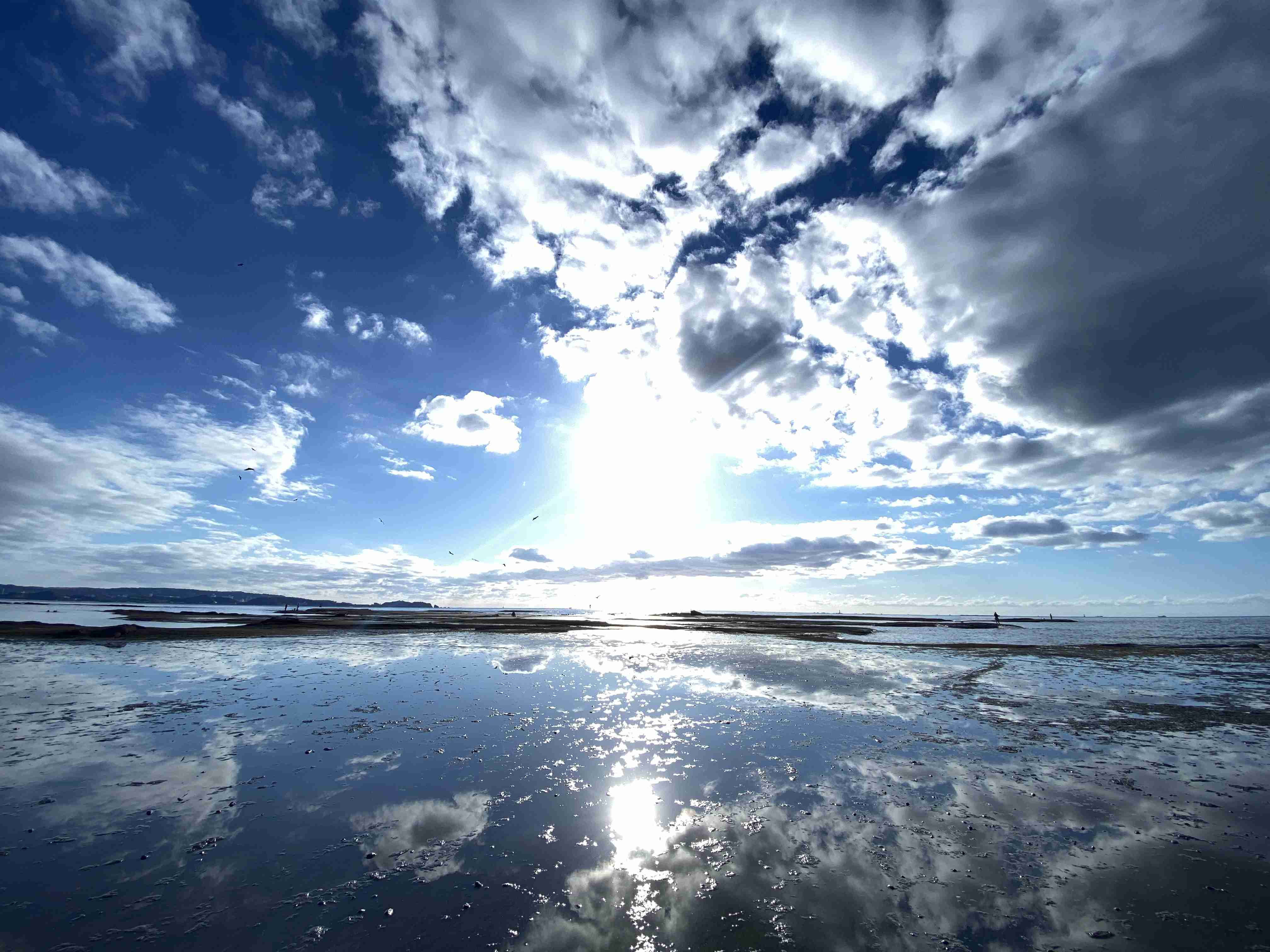 海沿いの写真でどこの県か当てるトピ