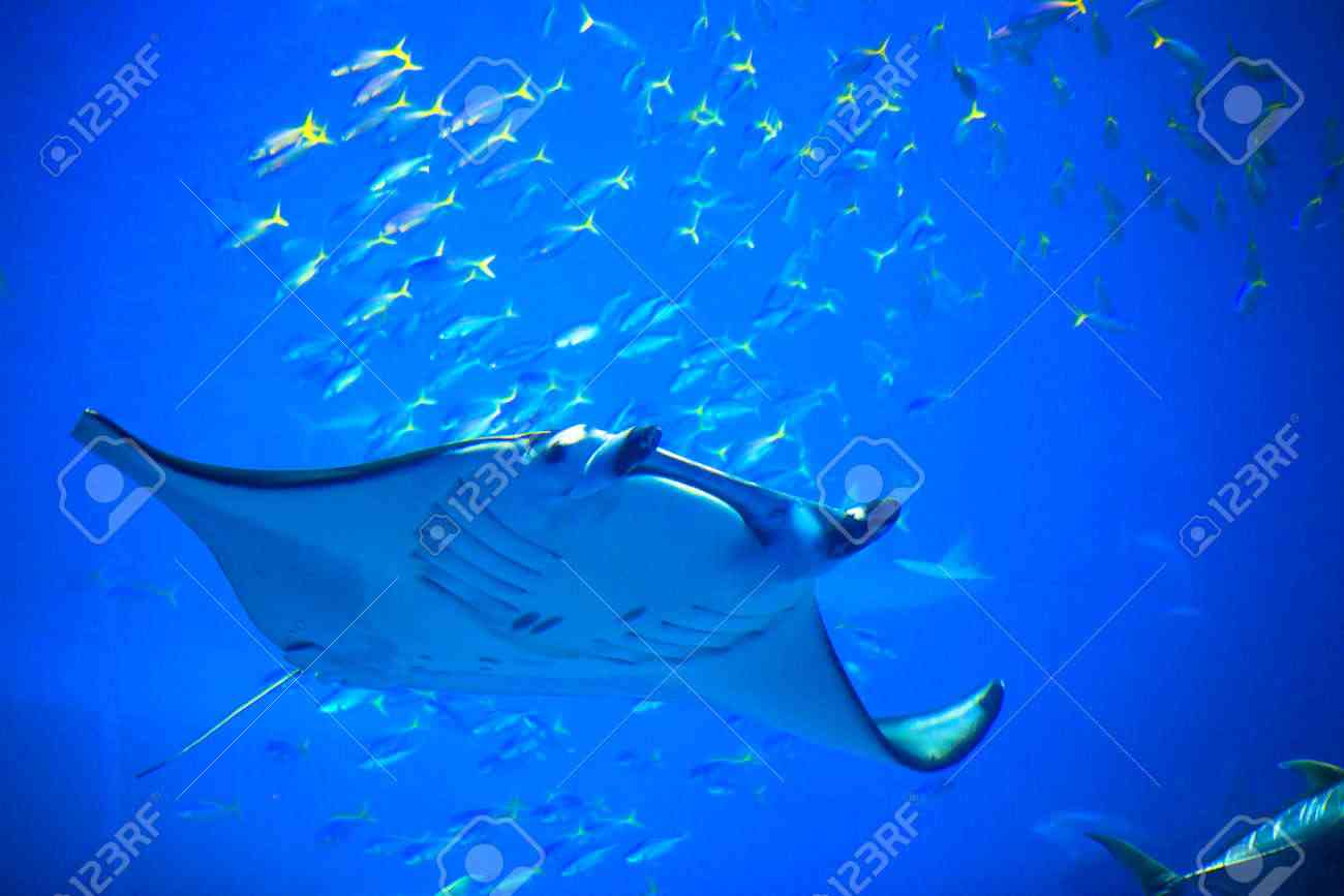 海沿いの写真でどこの県か当てるトピ