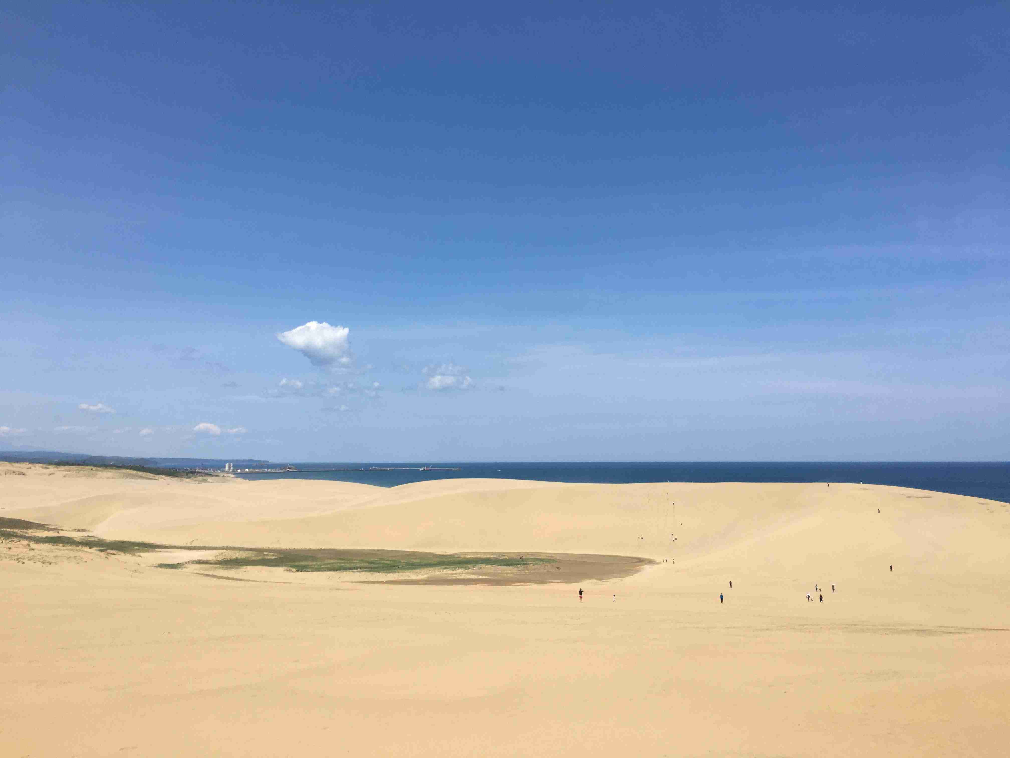 海沿いの写真でどこの県か当てるトピ