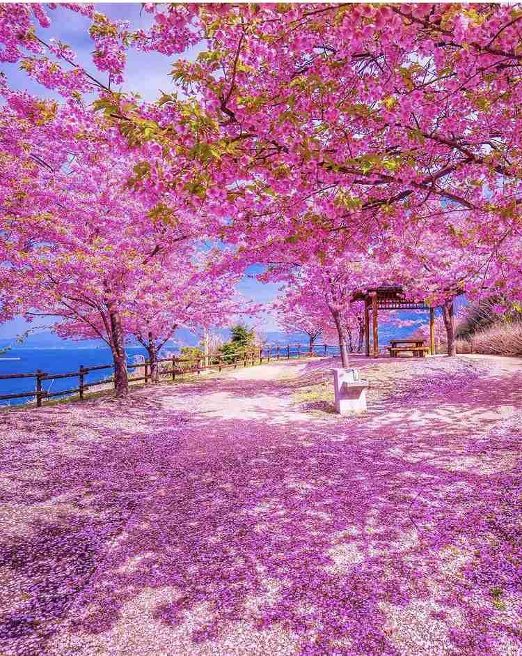 海沿いの写真でどこの県か当てるトピ