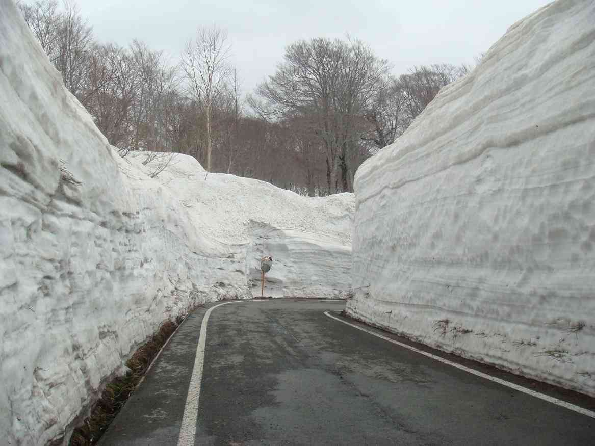 雪の降らない地域に住んでいる人