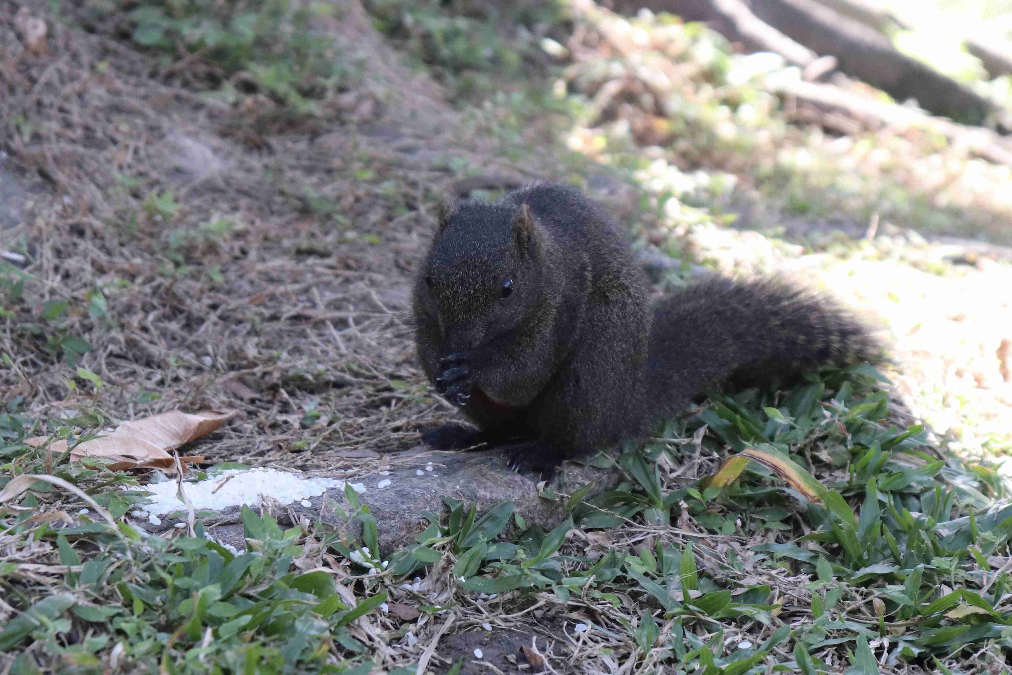 台湾に行った方、教えてください❗️