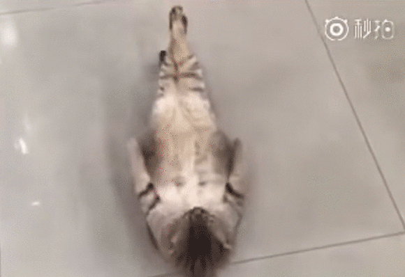 効率良く痩せようと思ったら何から始めますか?