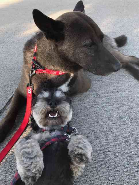 坂上家のチャンネル見てる人！