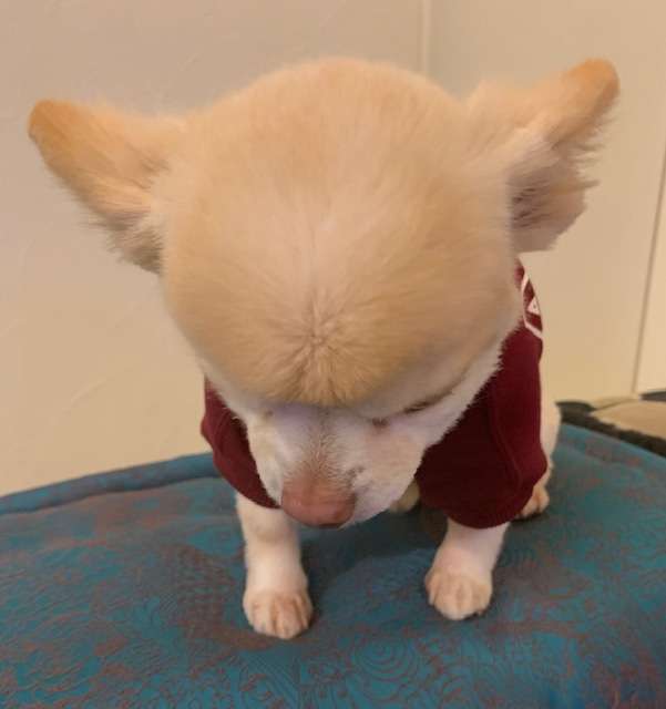 坂上家のチャンネル見てる人！