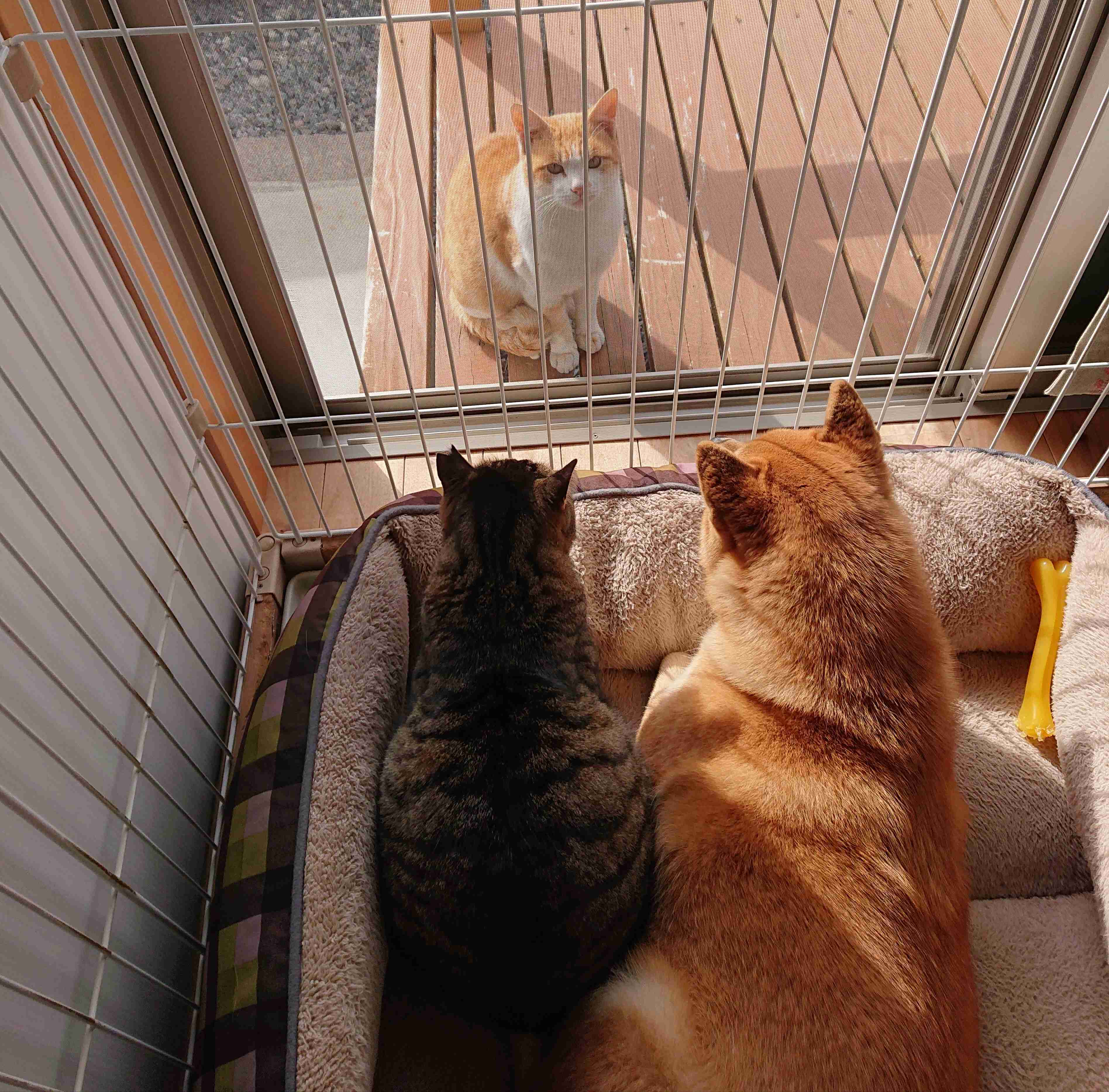 坂上家のチャンネル見てる人！