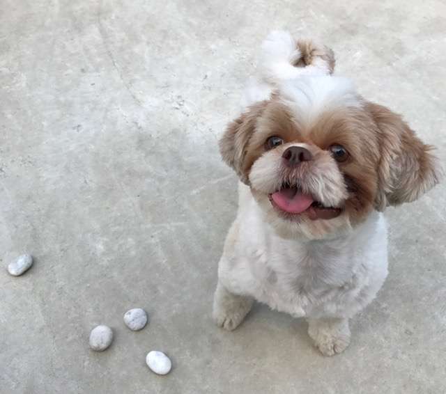 坂上家のチャンネル見てる人！