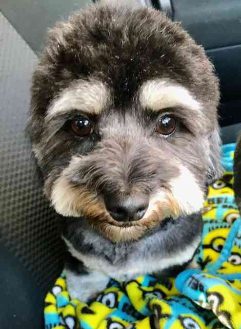 坂上家のチャンネル見てる人！