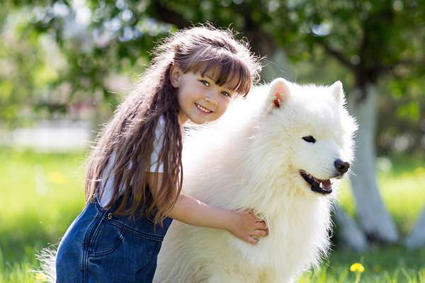 犬や猫に「マイクロチップを装着させたくない」が過半数 : ペットショップでの販売には6月から義務化