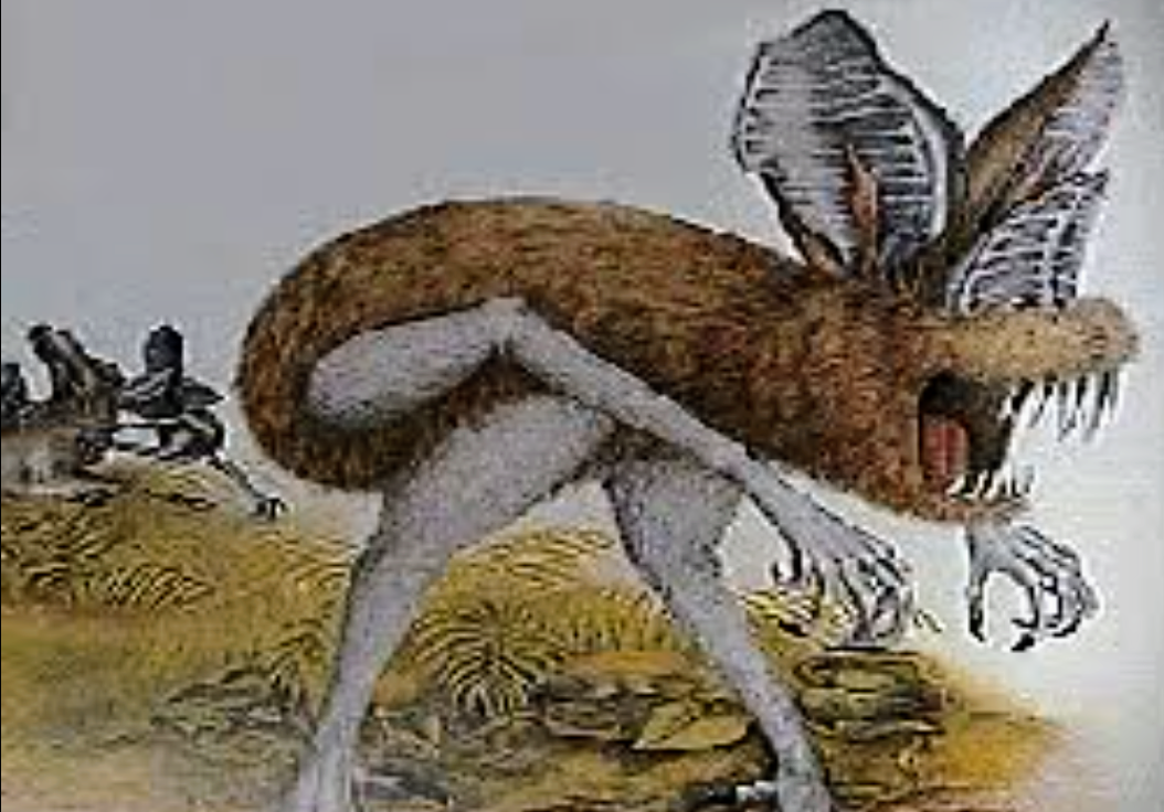 星が死にゆく最後の瞬間、超新星爆発をリアルタイムで観測　天文史上初