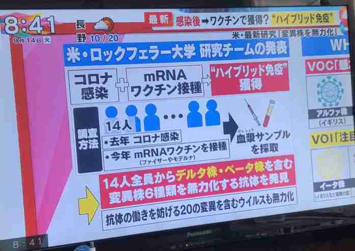 コロナ無症状の人 どうやって判明しましたか