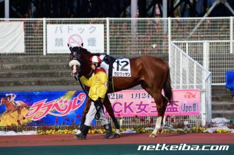 好きなクロワッサンを載せてください