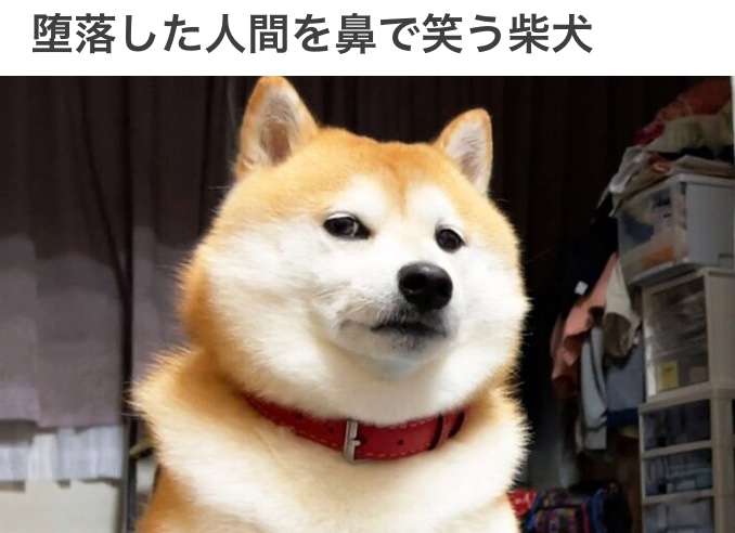 空腹だと眠れない