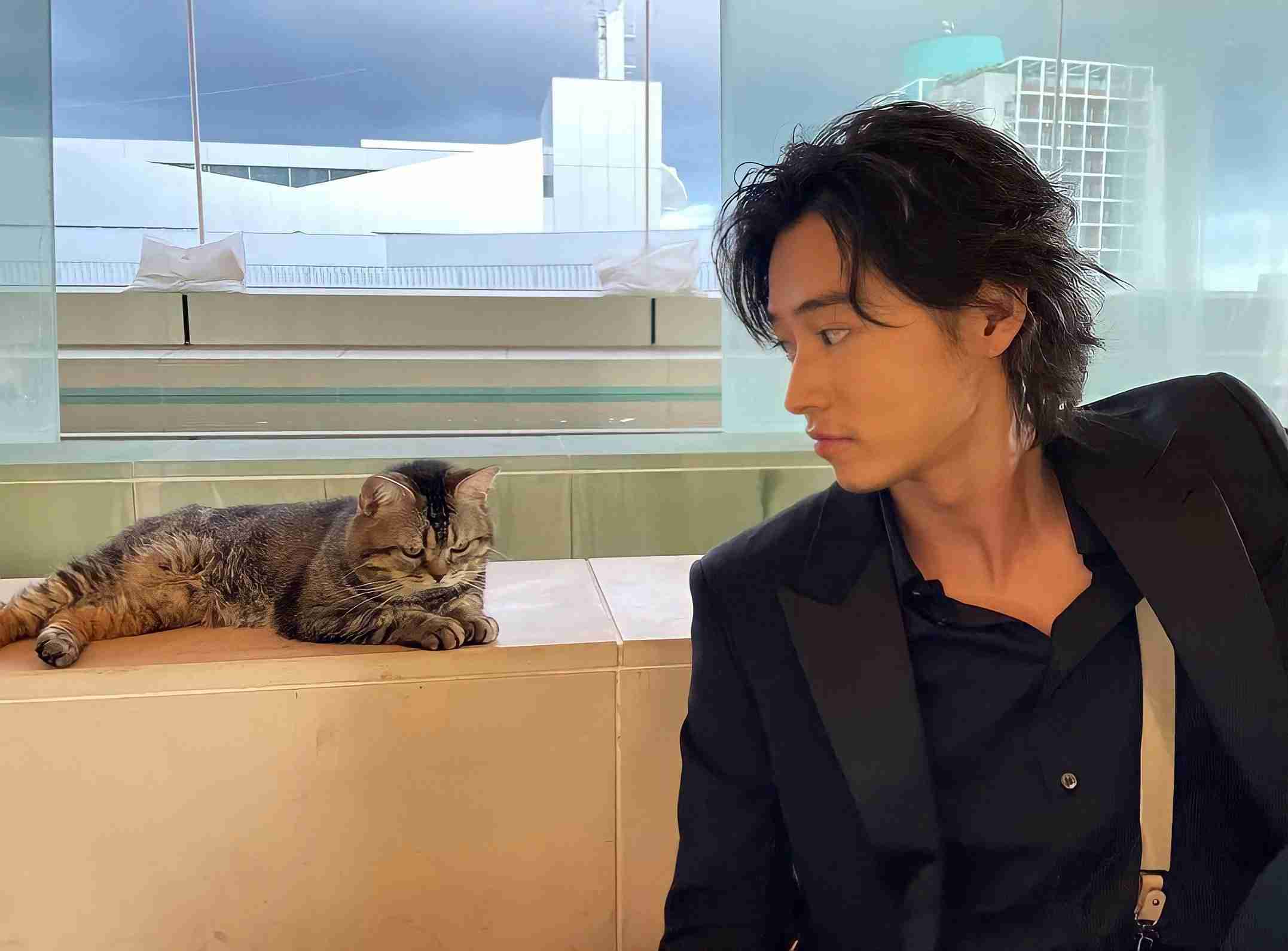 山﨑賢人くん好きな人