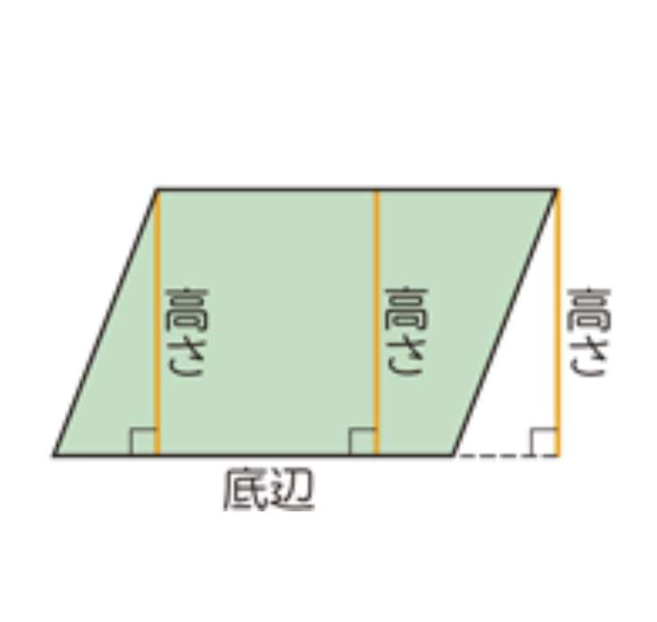 ｢正解率は55%｣教育界に激震…小6が直角三角形の面積を求める問題に大苦戦する理由