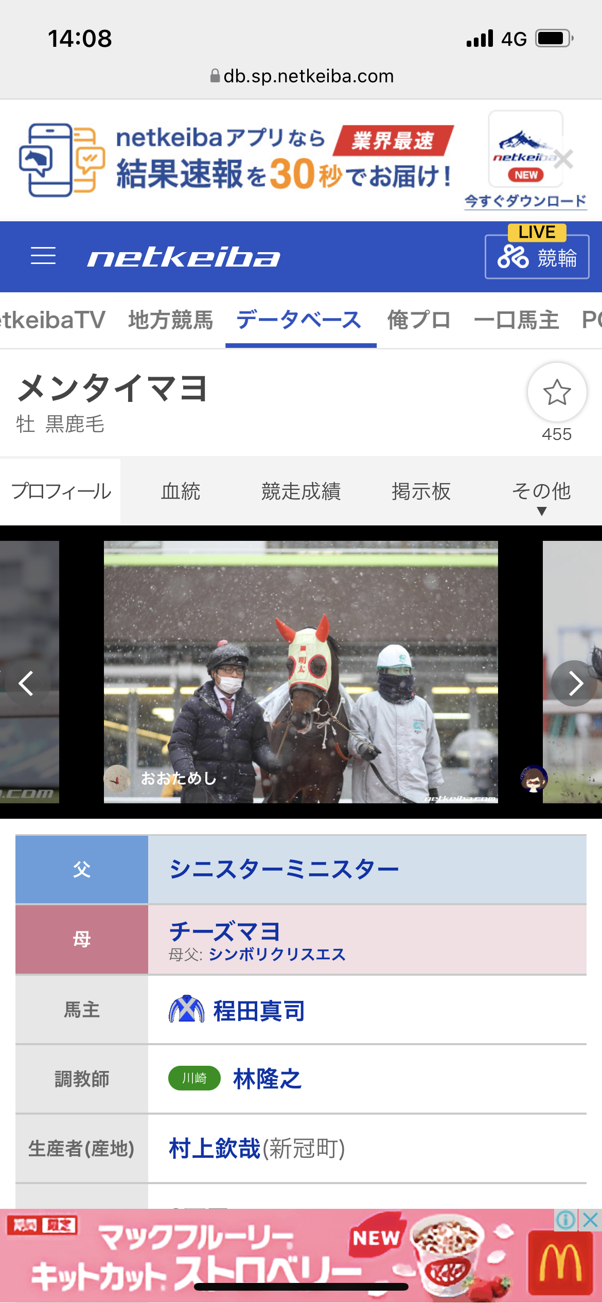 競走馬のユニークな名前