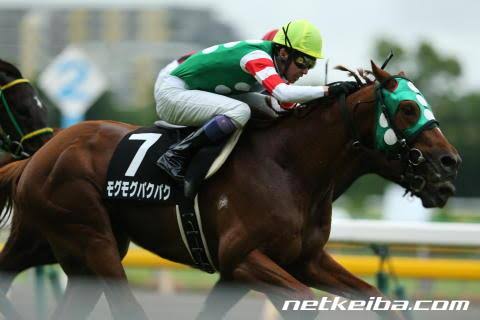 競走馬のユニークな名前