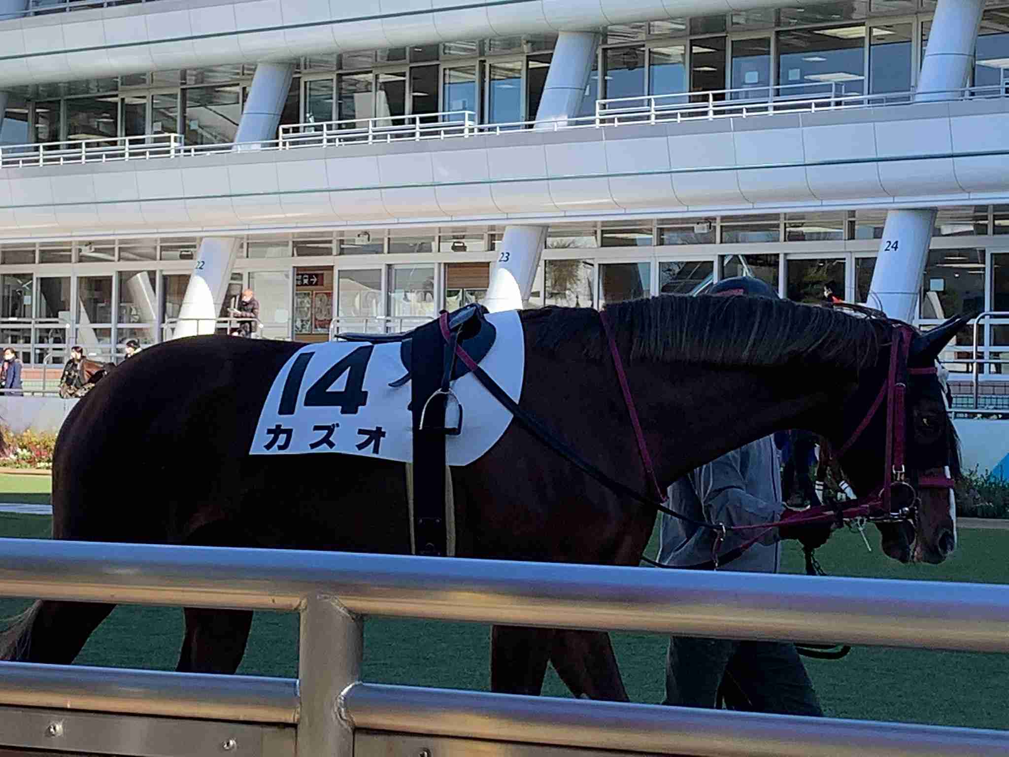 競走馬のユニークな名前