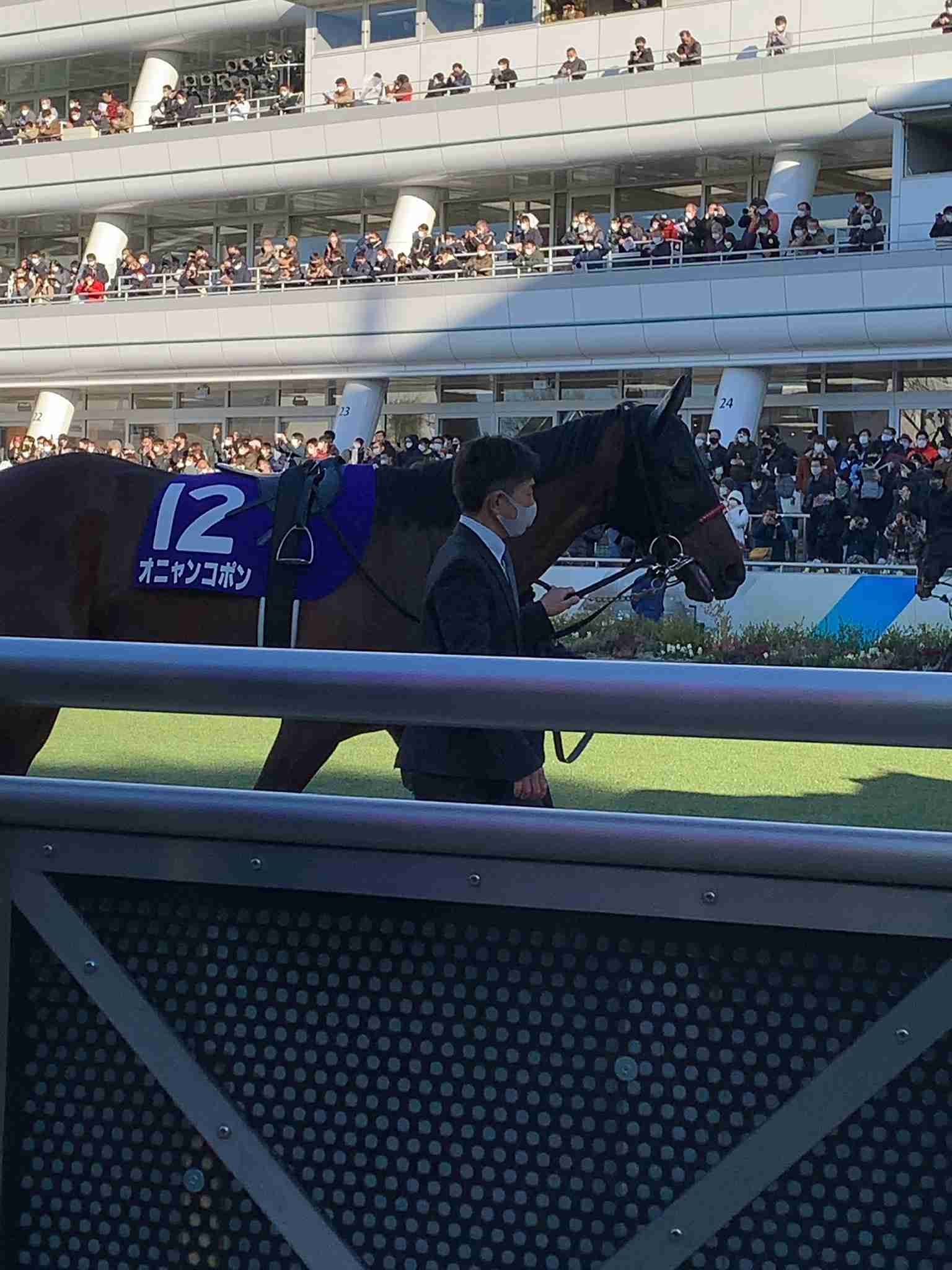 競走馬のユニークな名前