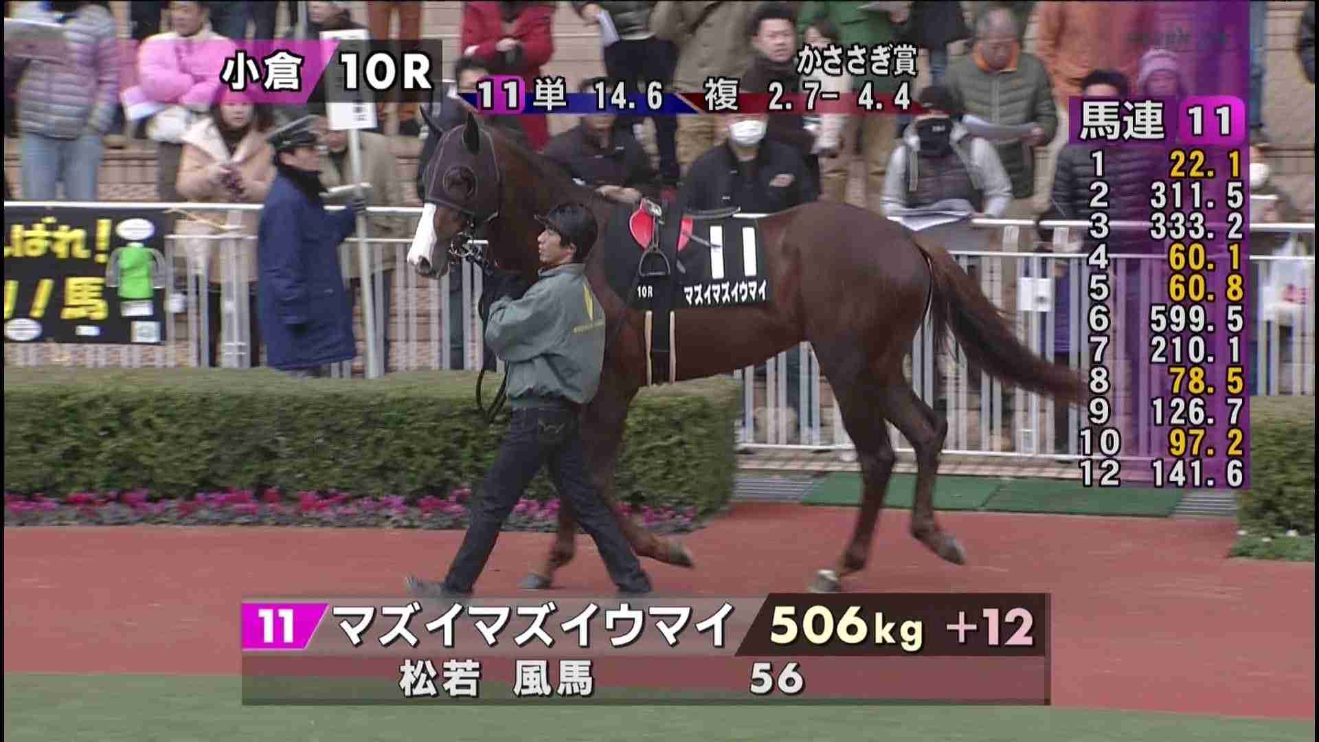 競走馬のユニークな名前