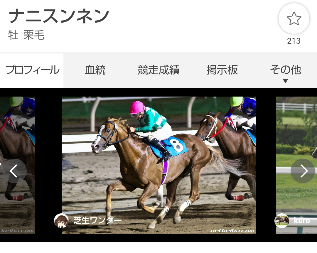 競走馬のユニークな名前