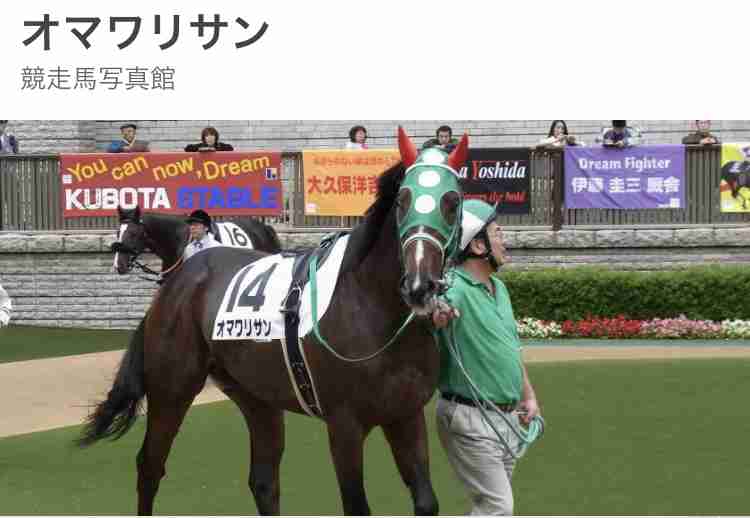 競走馬のユニークな名前