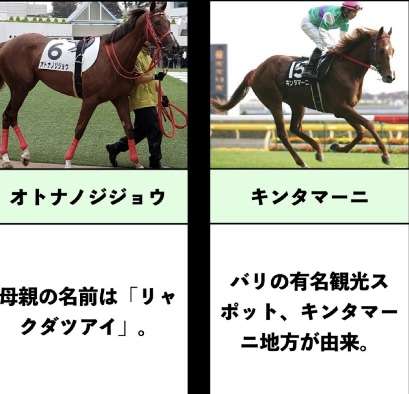 競走馬のユニークな名前