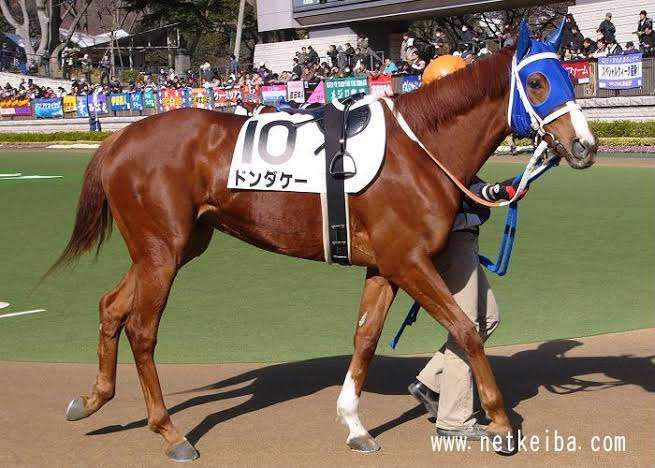 競走馬のユニークな名前