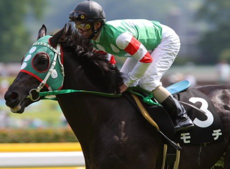 競走馬のユニークな名前