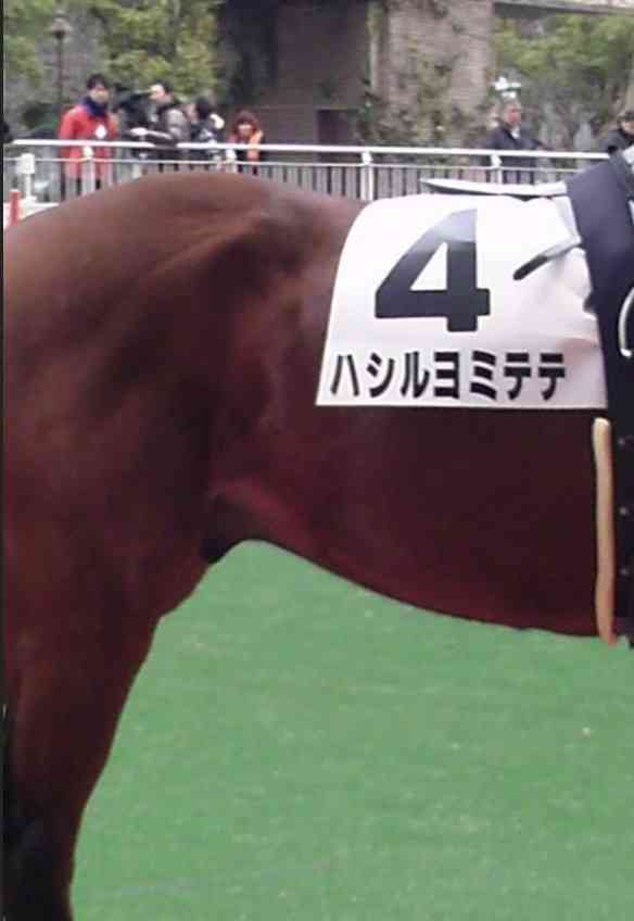 競走馬のユニークな名前