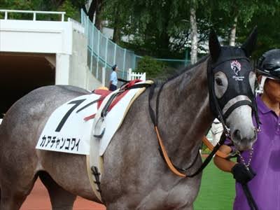 競走馬のユニークな名前