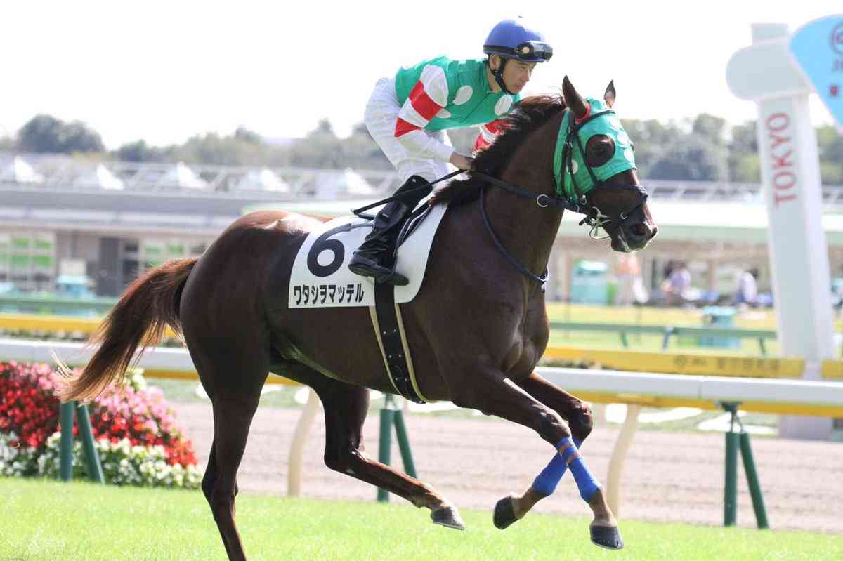 競走馬のユニークな名前