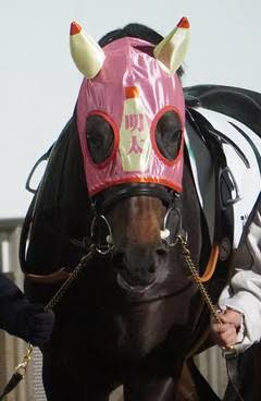 競走馬のユニークな名前