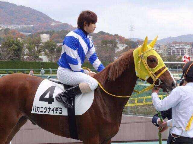 競走馬のユニークな名前