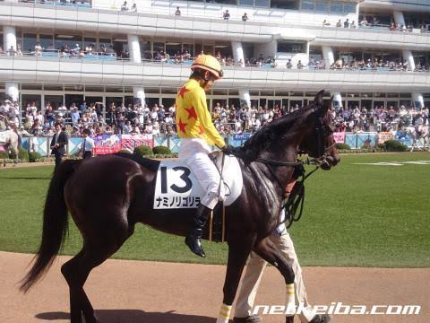 競走馬のユニークな名前