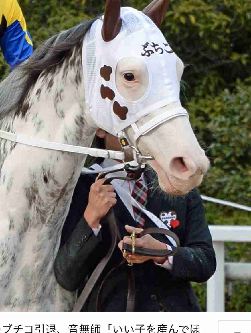 競走馬のユニークな名前