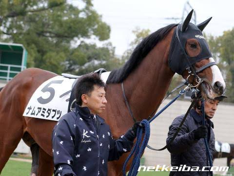 競走馬のユニークな名前