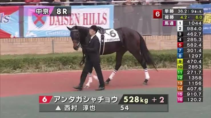 競走馬のユニークな名前