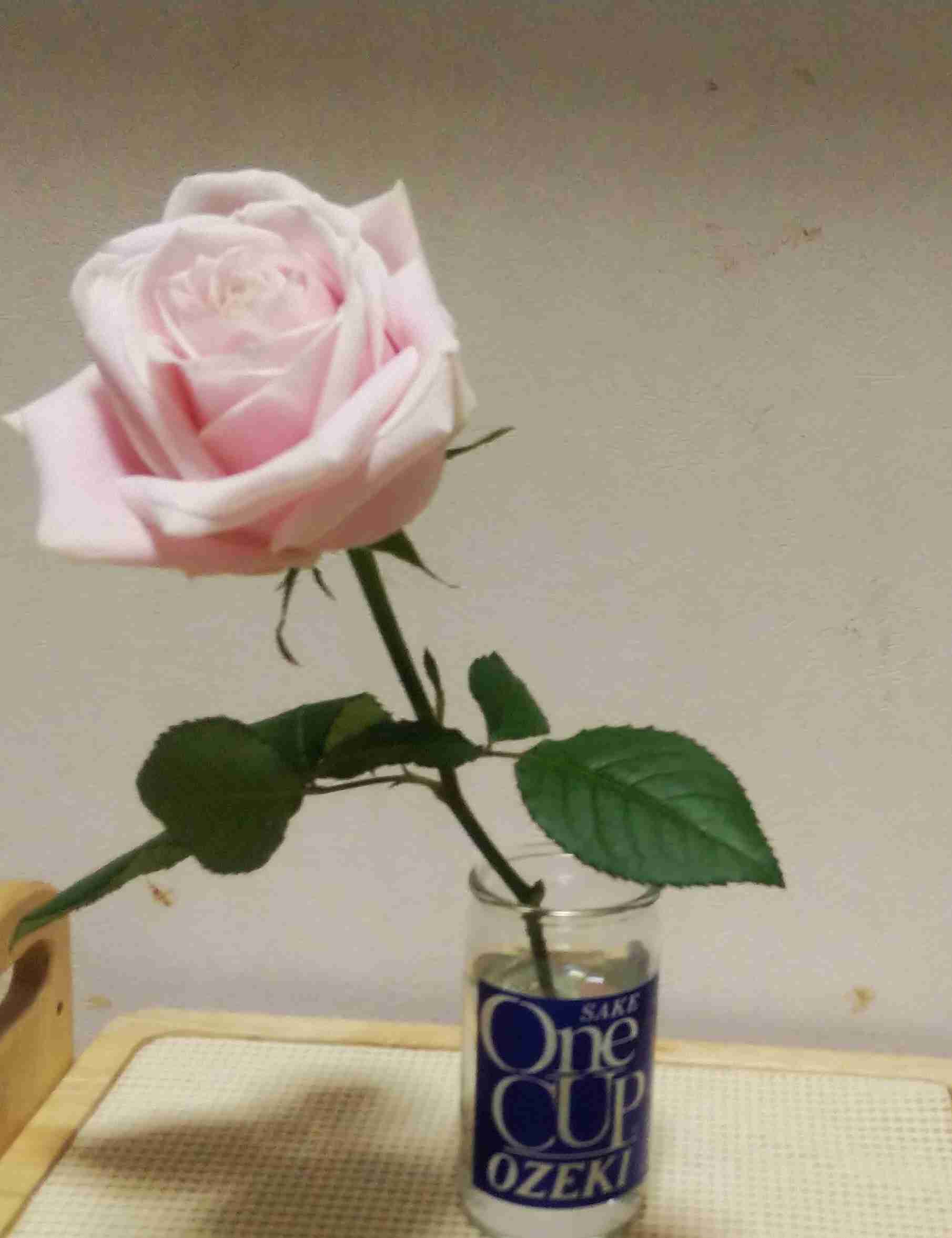 HABAってどうですか？【スキンケア】