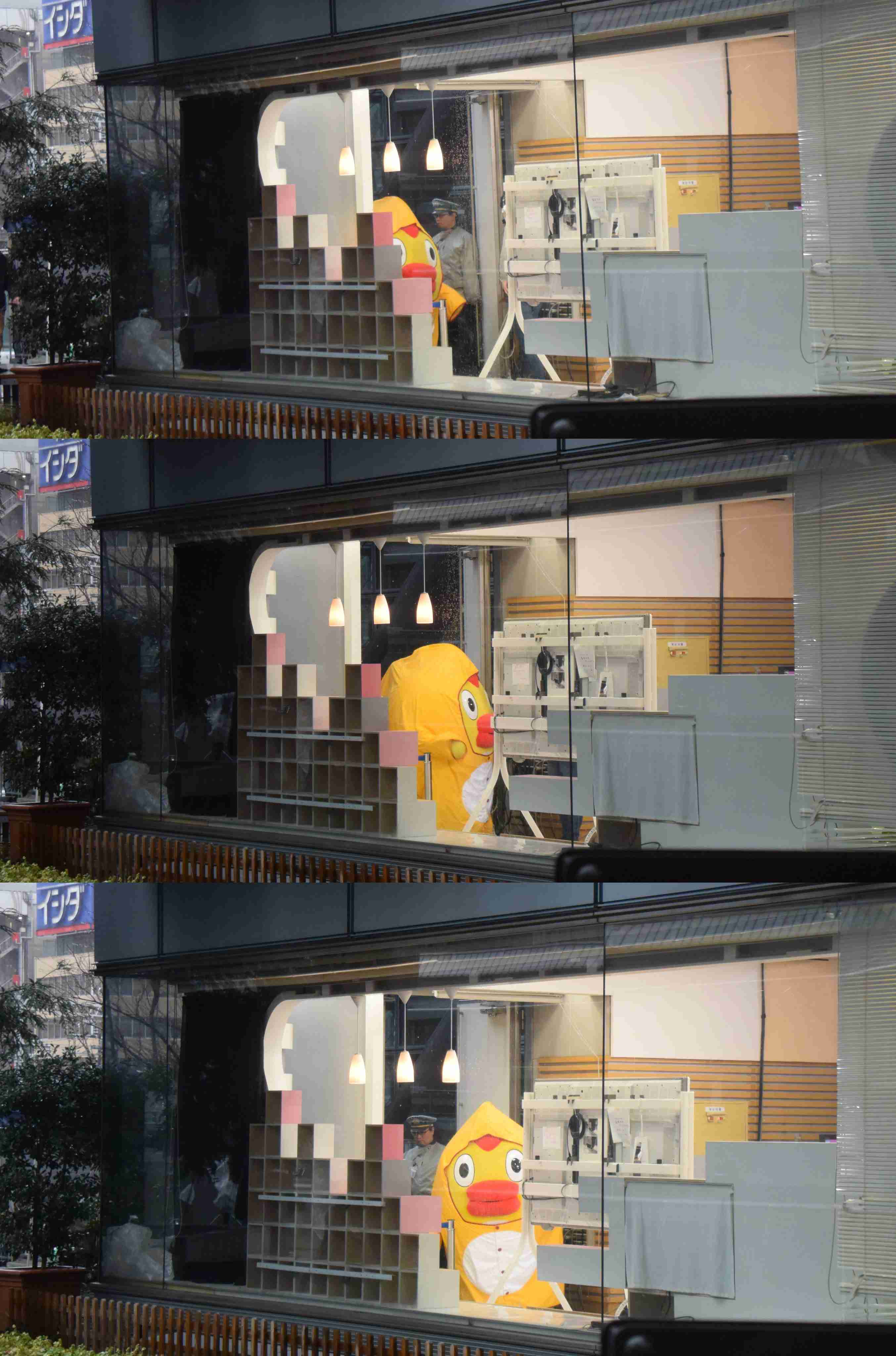 今現在好きな芸能人、ファン歴何年ですか？