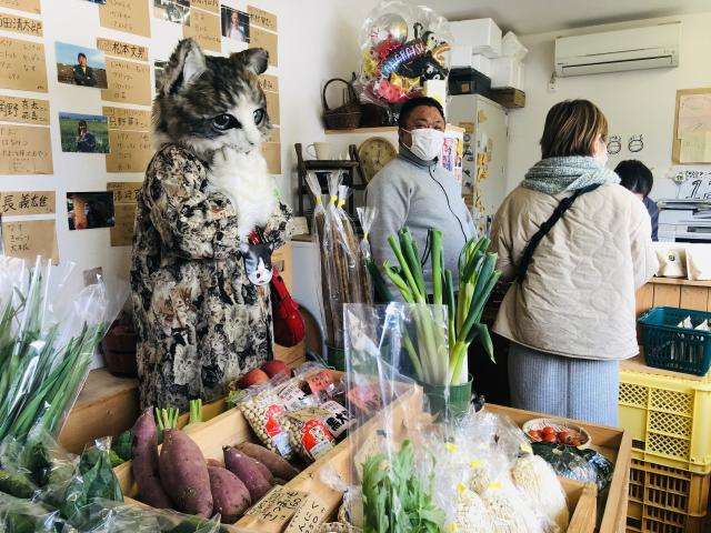 イオンでプリンを販売していた店員の姿に「二度見した」「来てほしい」