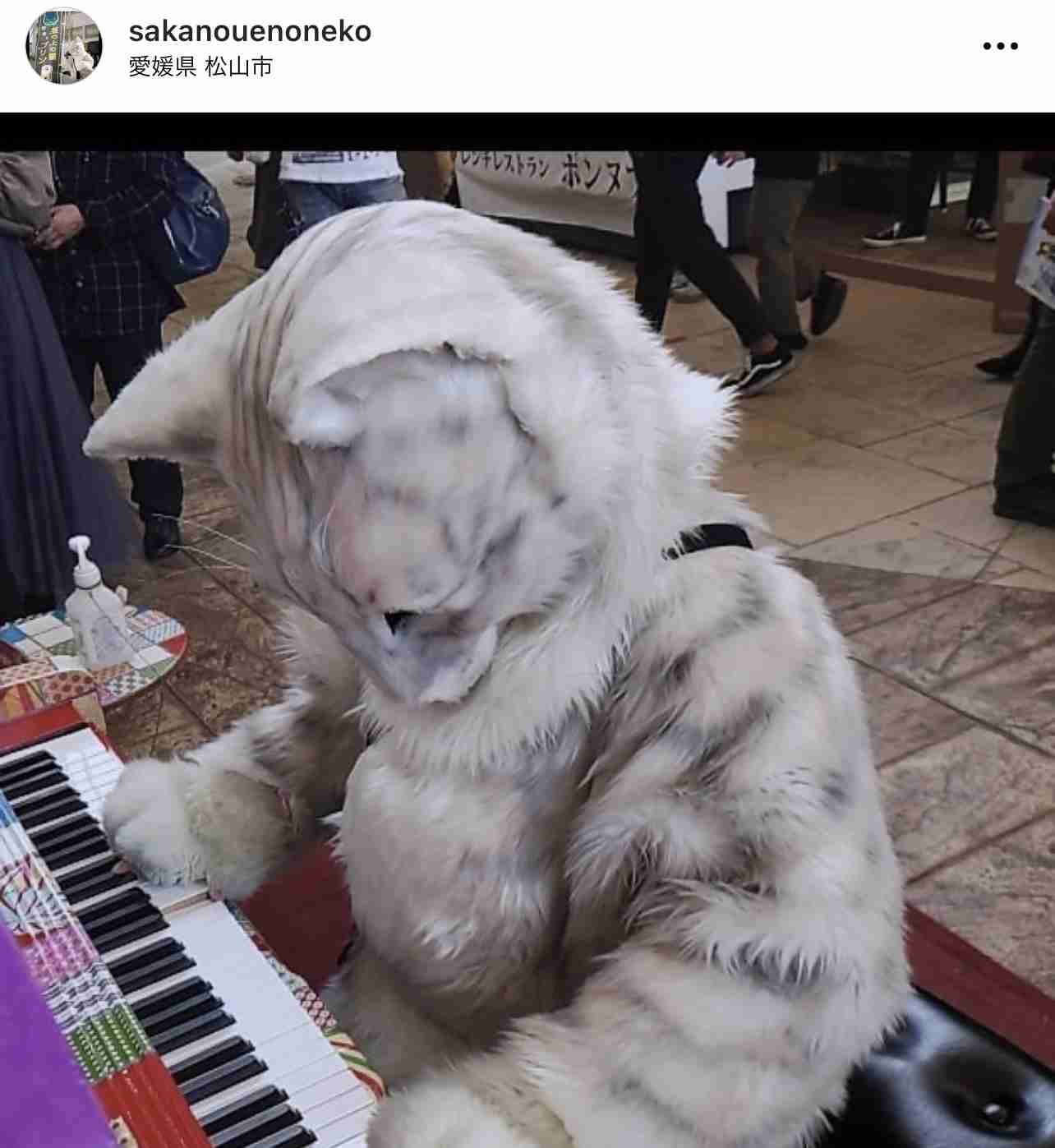 イオンでプリンを販売していた店員の姿に「二度見した」「来てほしい」